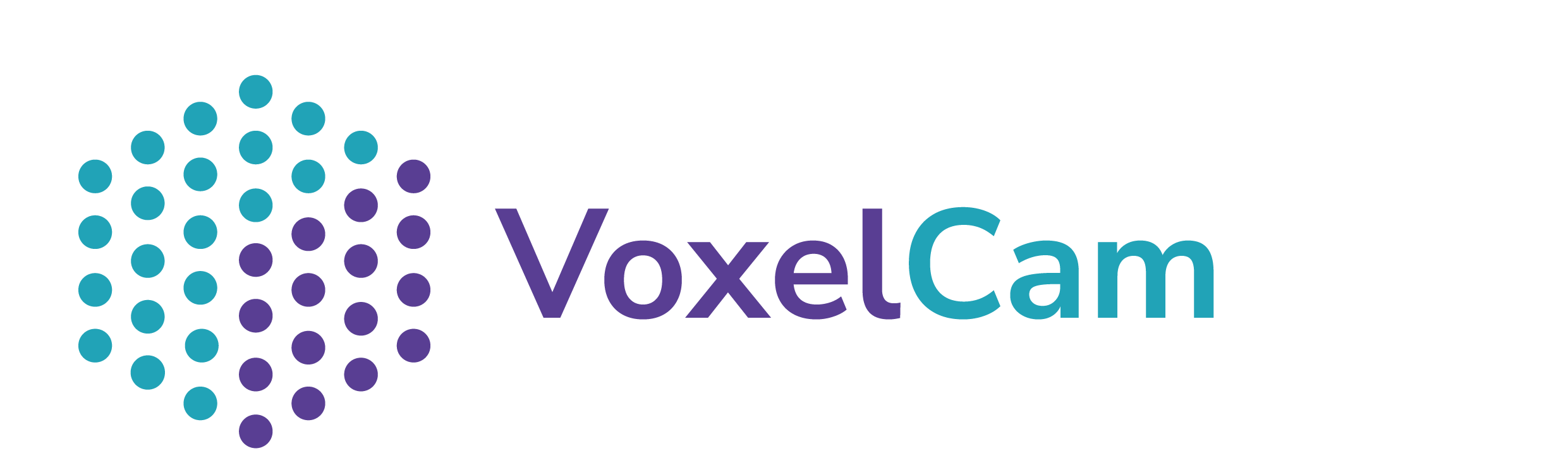 Voxel Cam