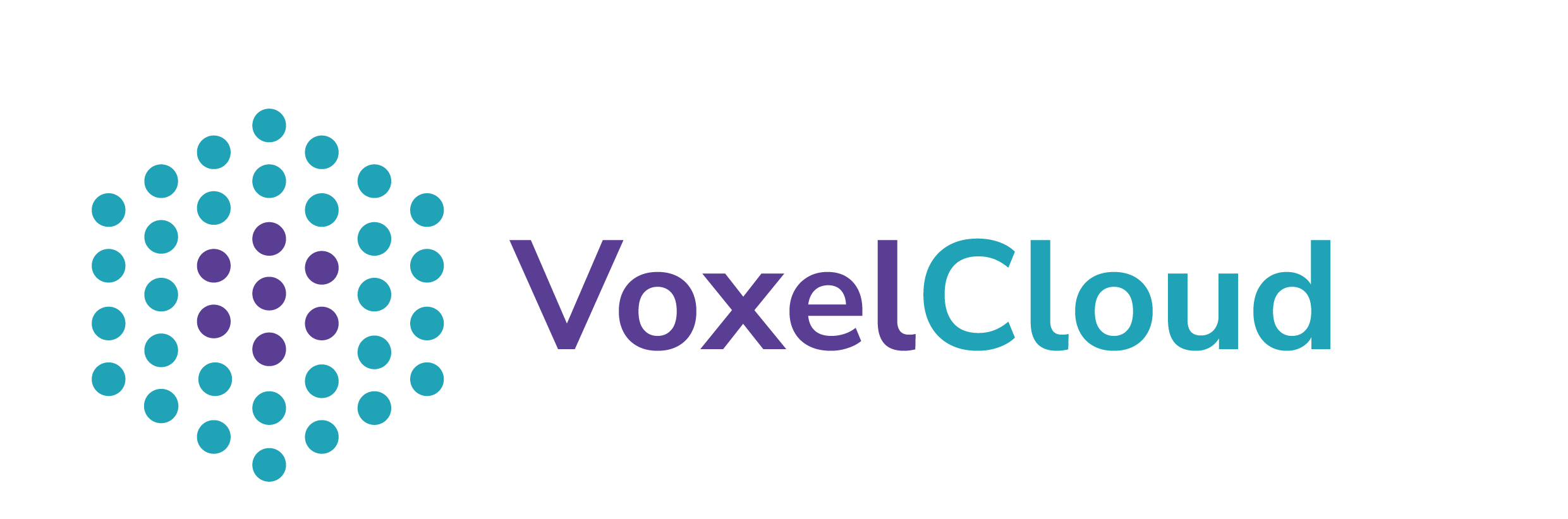 Voxel Cloud